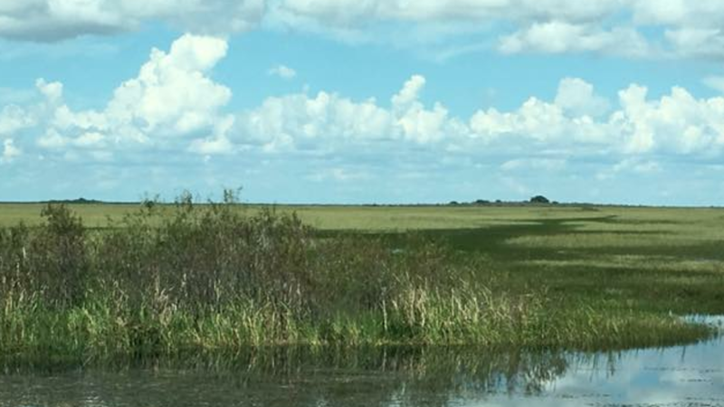 airboat ride near me